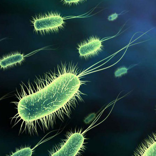 6 places germs lurk in the home